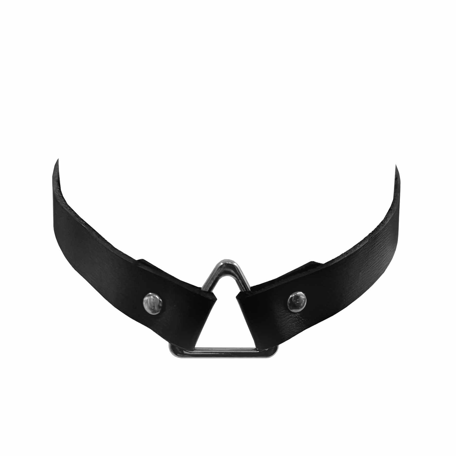 Saint Roch x Paloma Casile Choker
